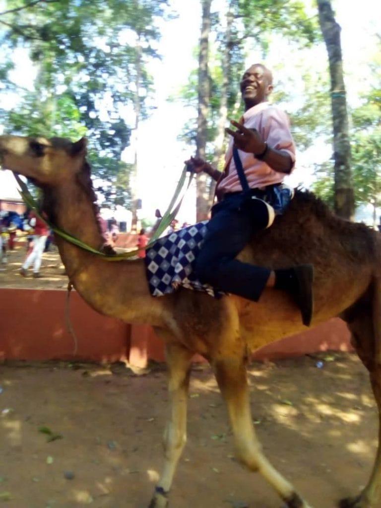 Camels