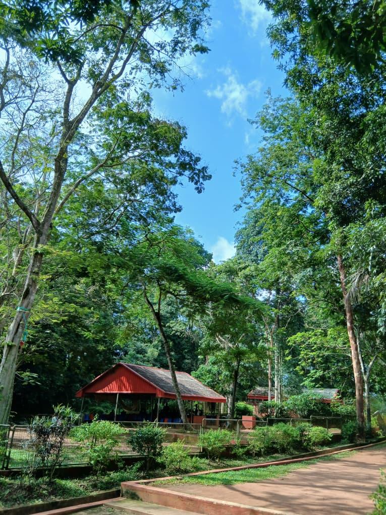 Ogba Zoo forest